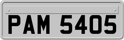 PAM5405