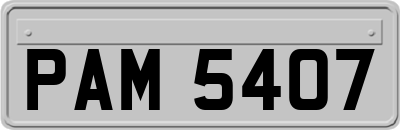 PAM5407