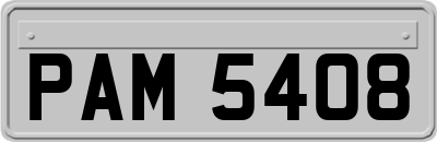 PAM5408