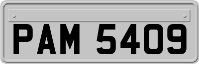 PAM5409