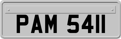 PAM5411