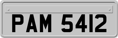 PAM5412