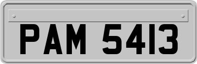 PAM5413