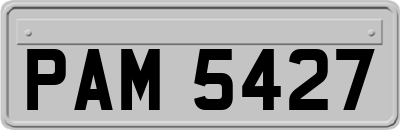 PAM5427