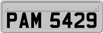 PAM5429