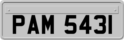 PAM5431
