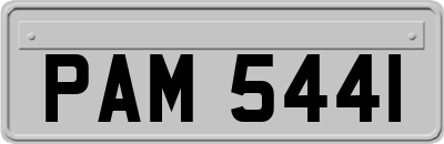 PAM5441