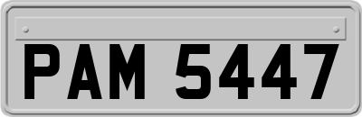 PAM5447