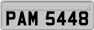 PAM5448