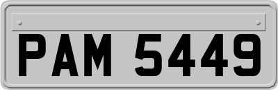 PAM5449