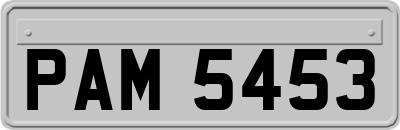 PAM5453
