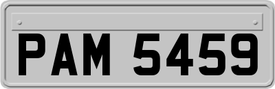 PAM5459