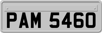 PAM5460