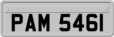PAM5461
