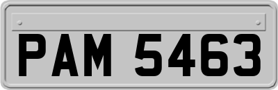 PAM5463