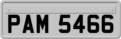 PAM5466