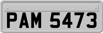 PAM5473