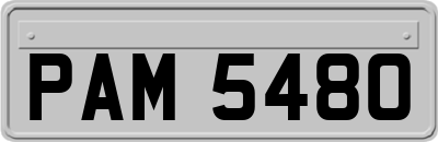 PAM5480