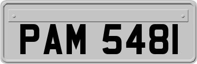 PAM5481