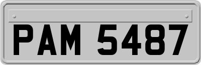 PAM5487