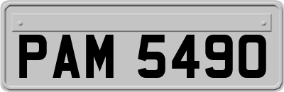 PAM5490