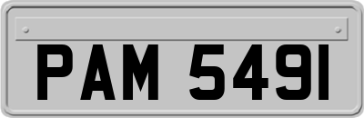 PAM5491