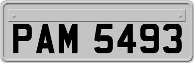 PAM5493