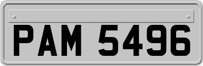 PAM5496
