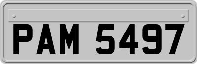 PAM5497