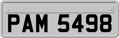 PAM5498