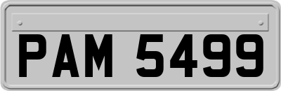 PAM5499