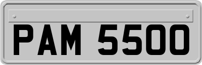 PAM5500