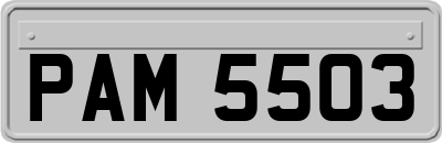 PAM5503