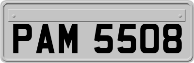 PAM5508