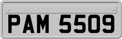PAM5509