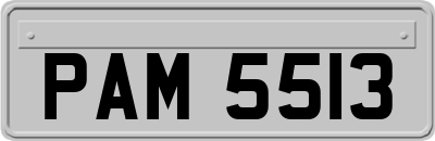 PAM5513