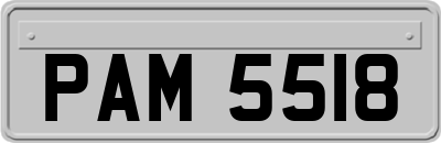 PAM5518