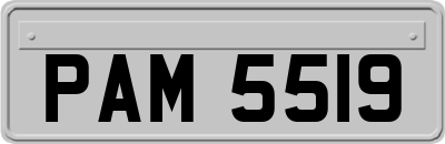 PAM5519