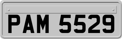 PAM5529