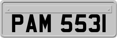 PAM5531