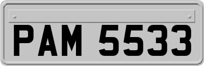PAM5533