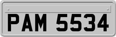 PAM5534