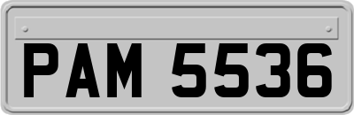 PAM5536