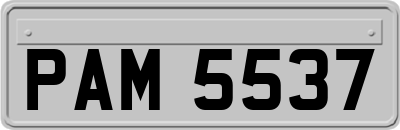 PAM5537