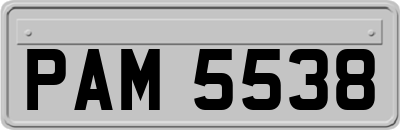 PAM5538