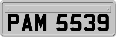 PAM5539