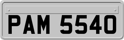 PAM5540