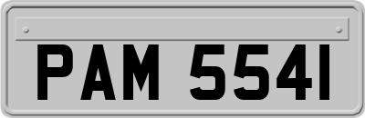 PAM5541