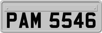 PAM5546