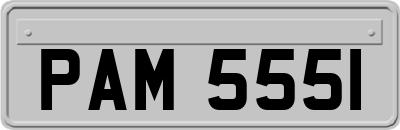 PAM5551